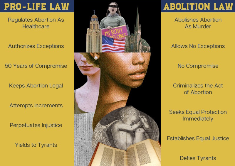 Comparison Between Pro-Life Law and Abolition Law